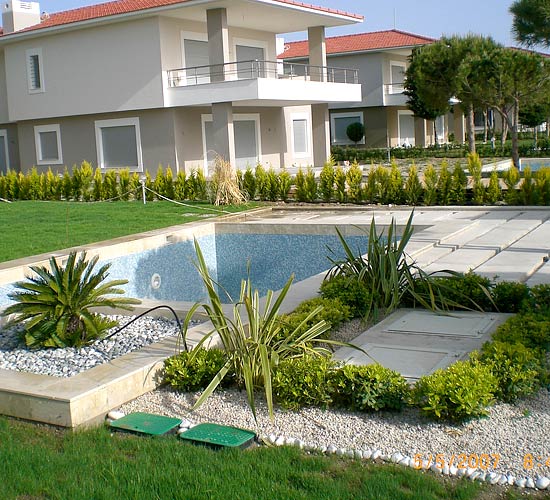 Yüzme havuzu ve etrafında bitkiler 