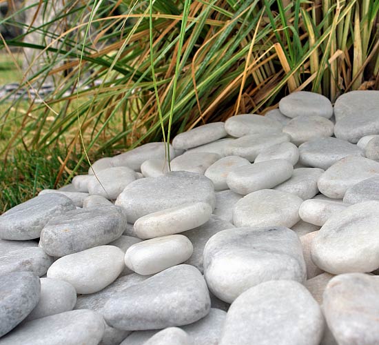 Discus Alize formunun güzelliği